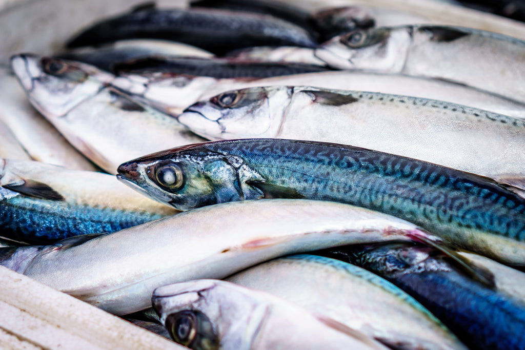 Mackerel Fish (3 Fishes) Medium Cut (Available for Same-Day Local Delivery and Curbside Pickup Only)