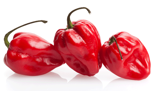 Habenero Peppers (Ata Rodo) Per 1lb (Available for Same-Day Local Delivery and Curbside Pickup Only)